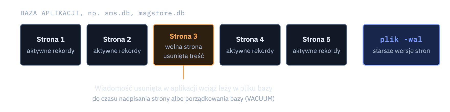 Budowa pliku bazy SQLite: usunięte rekordy mogą pozostać w wolnych stronach bazy oraz w pliku dziennika WAL.
