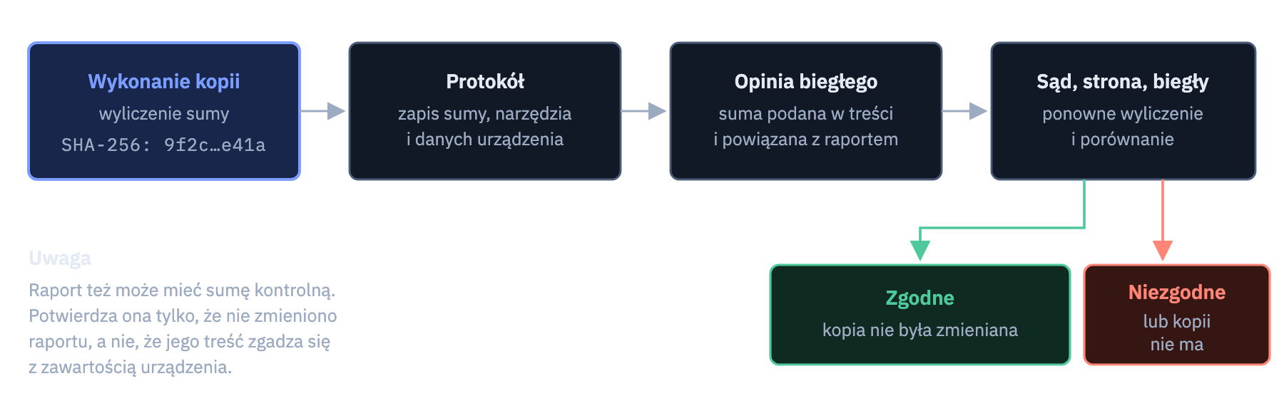 Weryfikacja sumy kontrolnej: od wykonania kopii, przez protokół i opinię, po ponowne wyliczenie i porównanie. Ostatni krok wymaga zachowanej kopii.